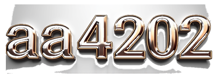 aa4202 logo